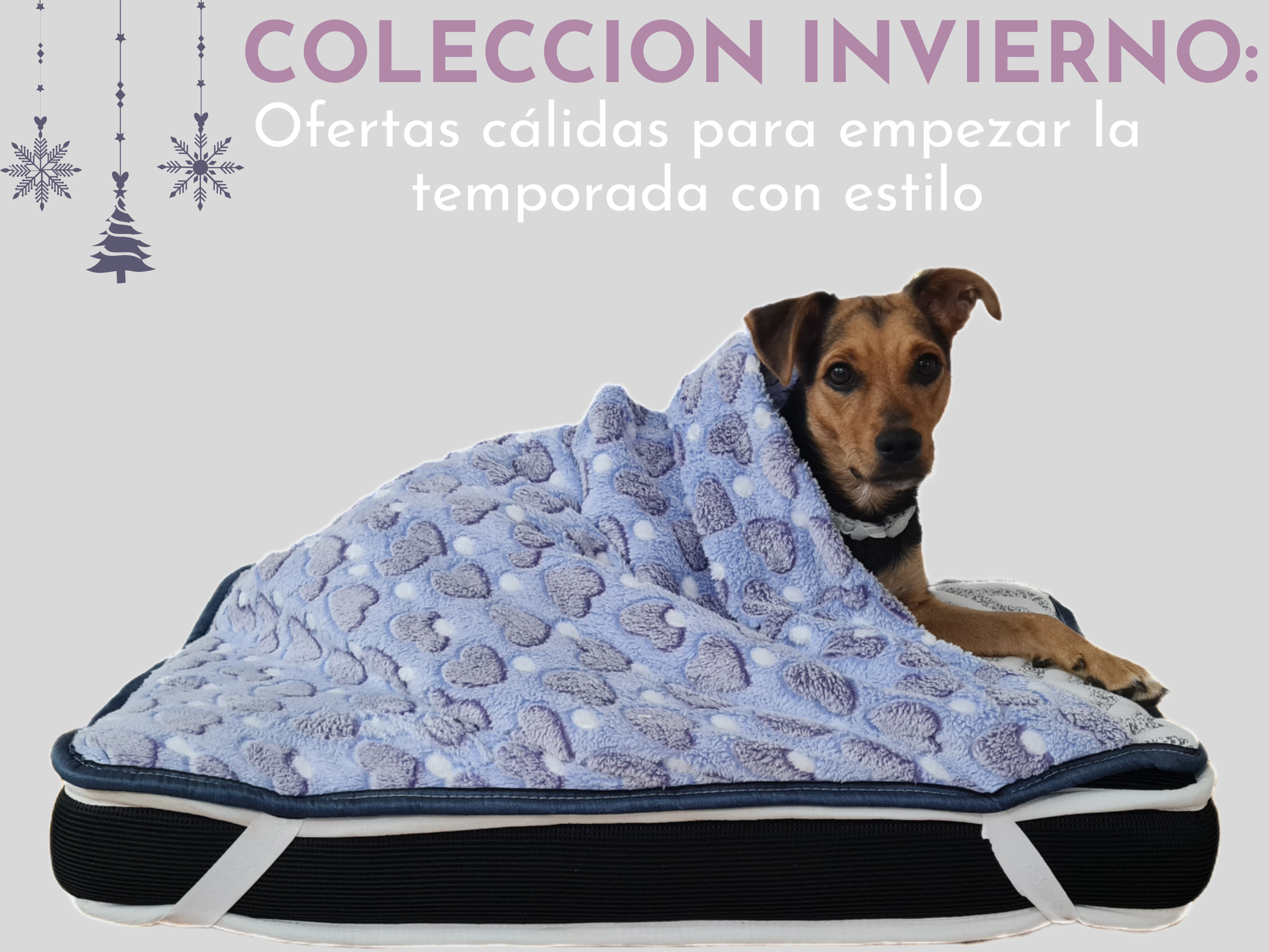 Coleccion Invierno