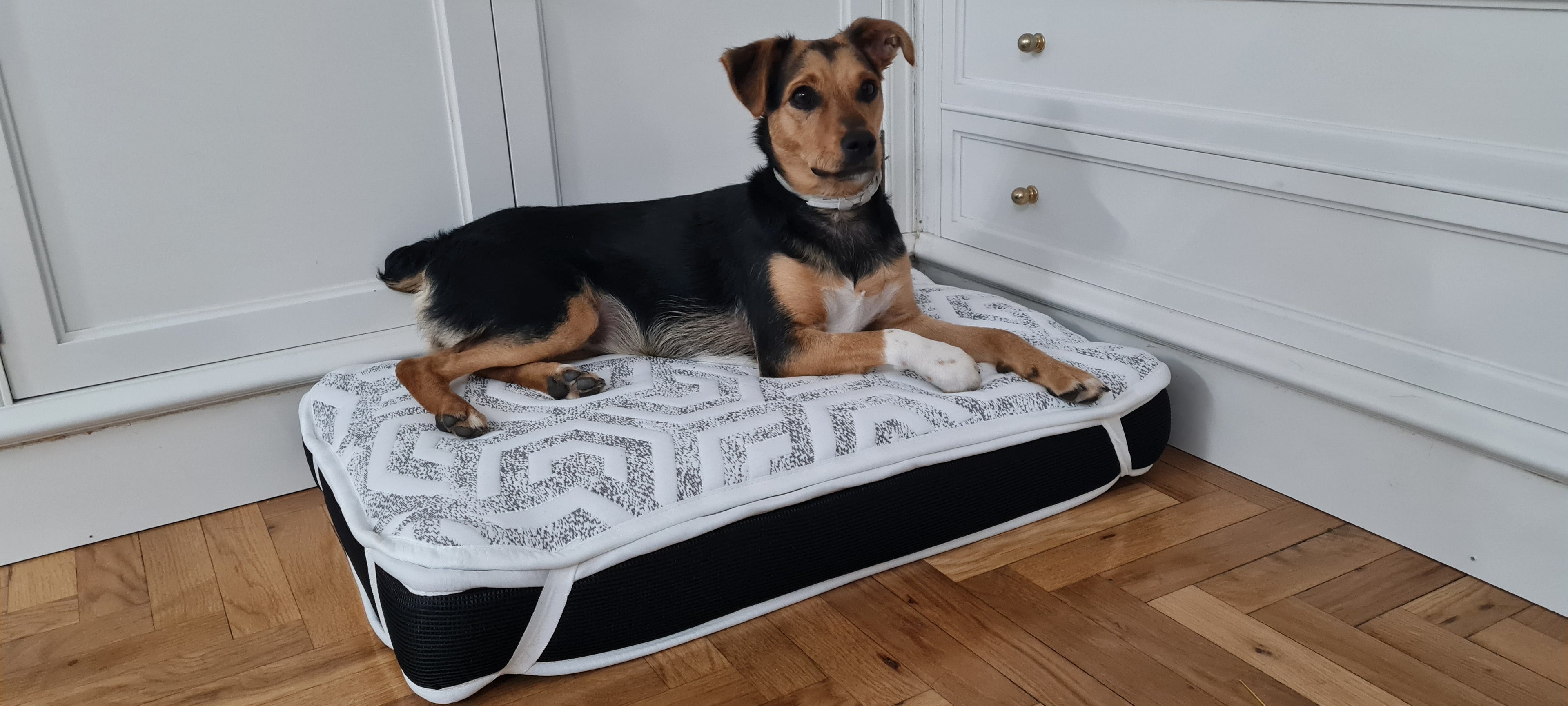 Cama para perros Premium SoñArt