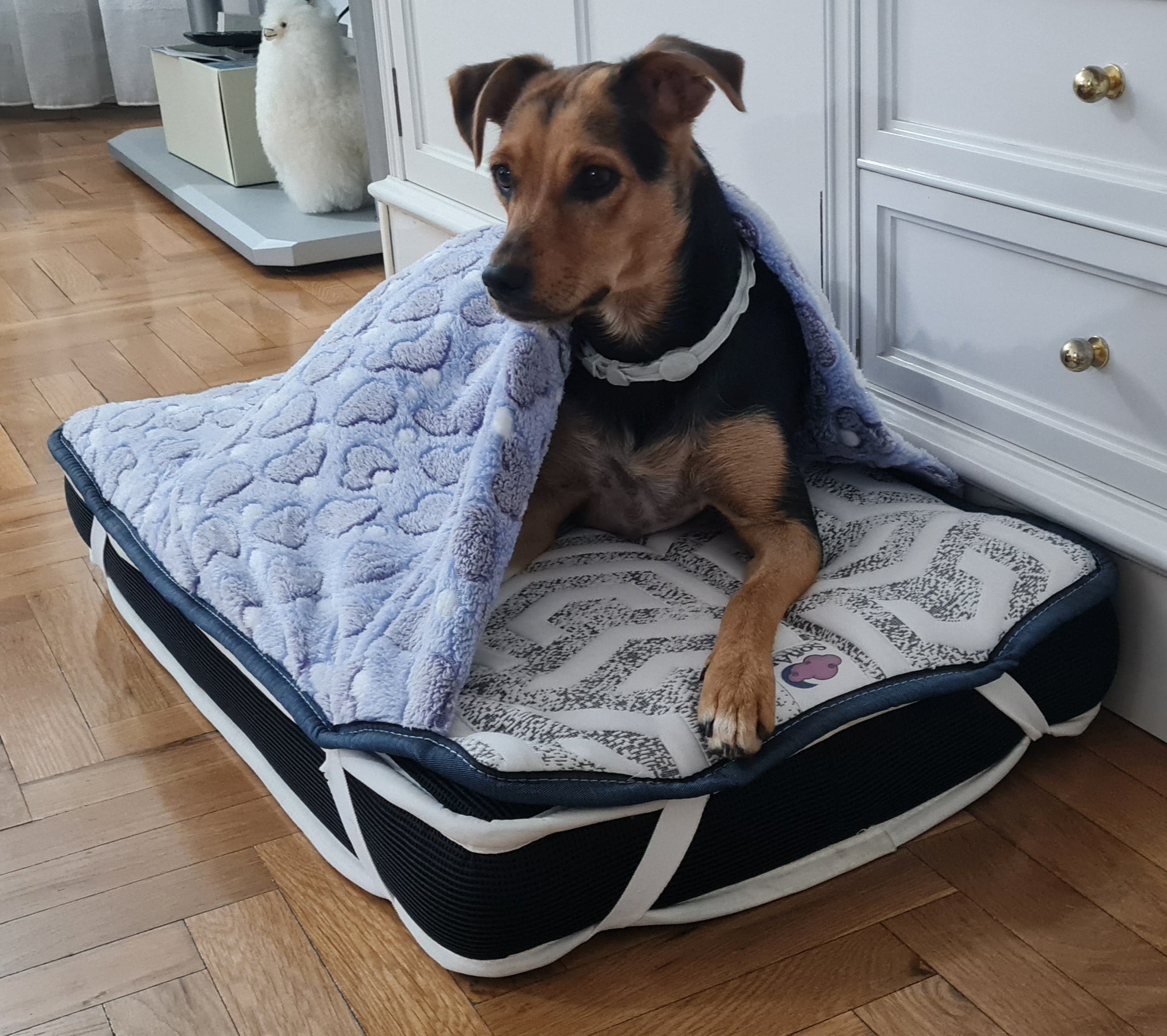 NUEVO¡¡ Nuestra cama premium SoñArt con nuestro topper más cálido y acogedor.