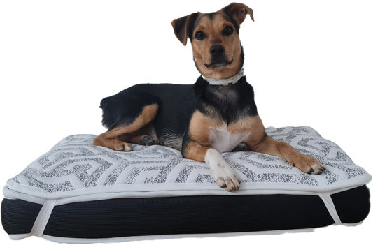 Cama ortopédica premium para perros – SoñArt Pet
