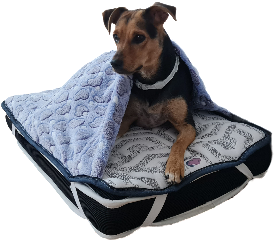 NUEVO¡¡ Nuestra cama premium SoñArt con nuestro topper más cálido y acogedor.