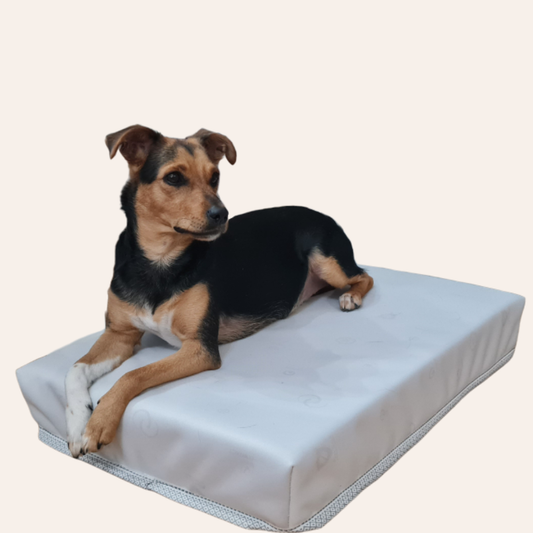 DryTouch – Cama premium para perros con tejido hidrófobo y resistente