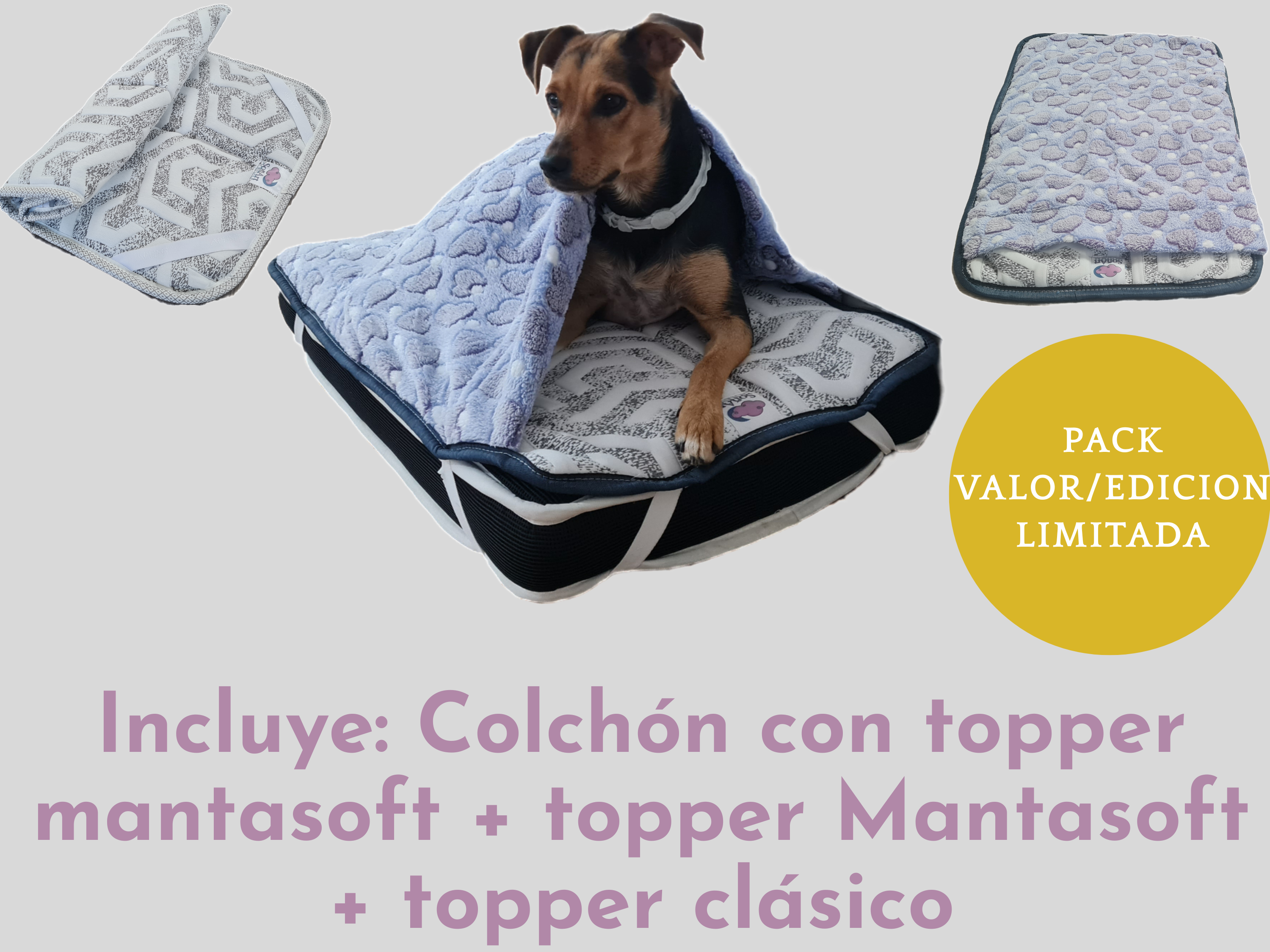 Pack Valor (Edición Limitada)