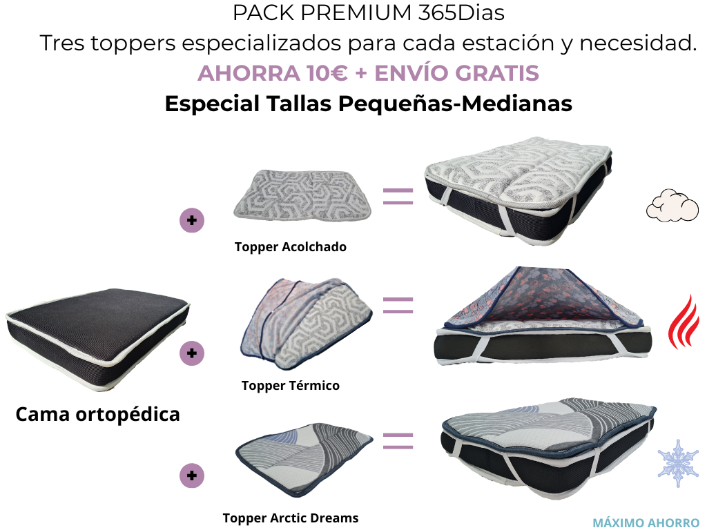 Pack 365 Días Talla M – Cama Ortopédica + 3 Toppers para Perros