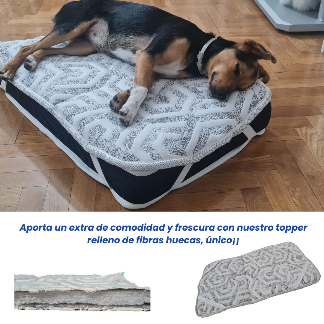 Cama ortopédica premium para perros – SoñArt Pet