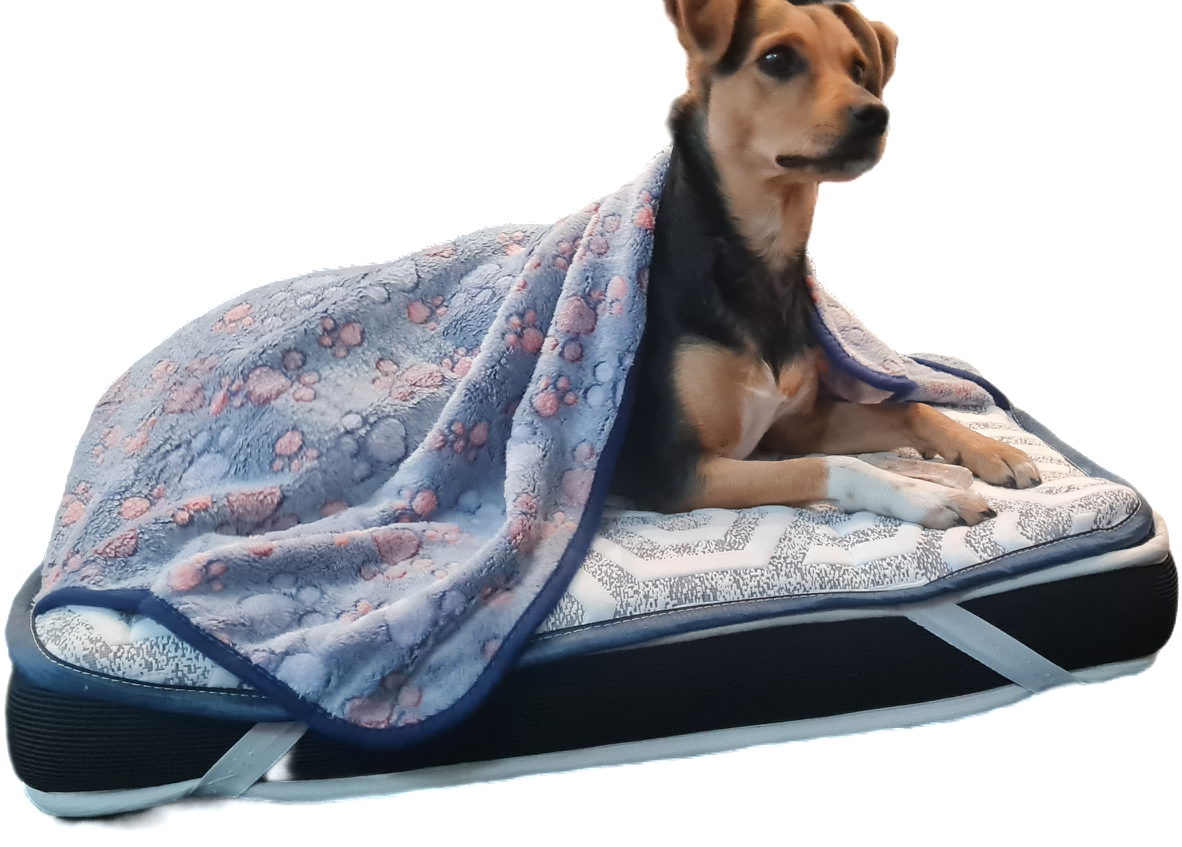 Cama Ortopédica con Topper Térmico para Perros – SoñArt Pet®